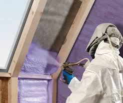 Best Vapor Barrier Installation  in Capitol View, SC